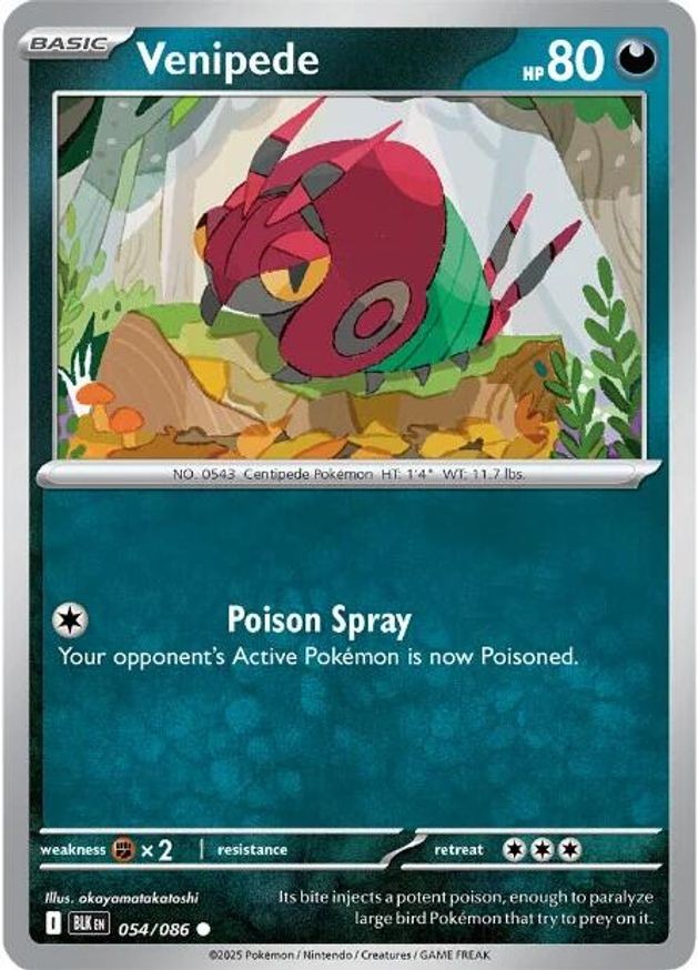Pokemon Venipede (54/326) Black Bolt LP REVERSE HOLO