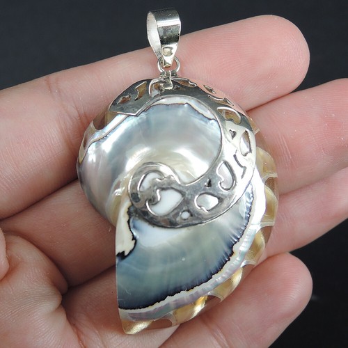 925 Sterling Silver Clear Natural Nautilus Shell Pendant Jewellery, NSP-252 - Picture 3 of 6