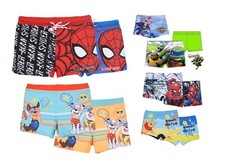 Marvel Spider-Man Boys Swimming Shorts Nickelodeon Paw Patrol TMNT Swim Trunks