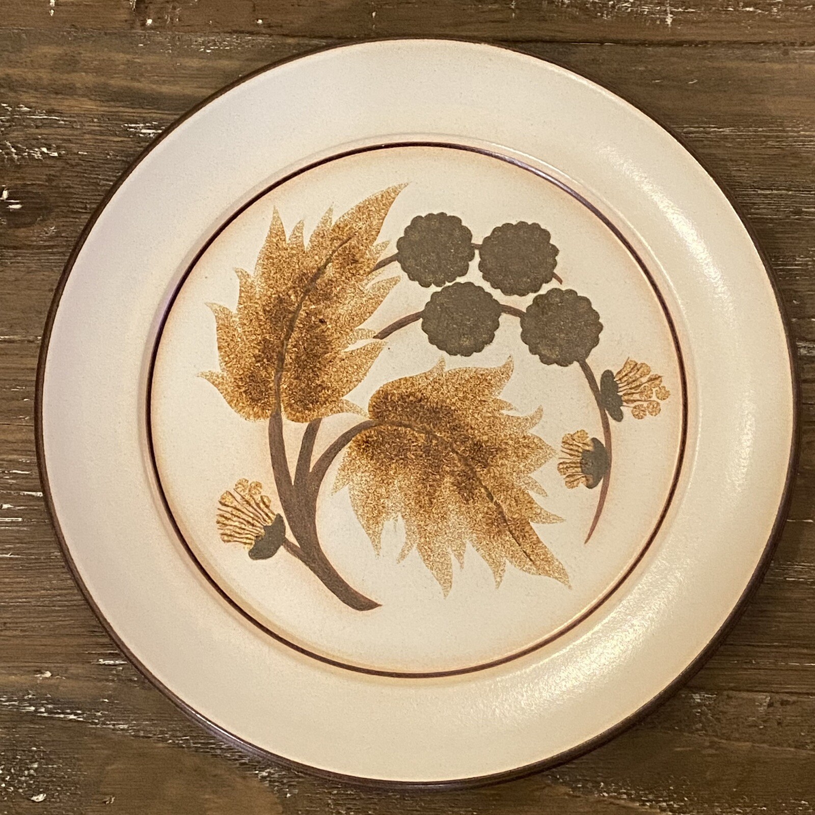 Vintage Denby COTSWOLD Dinner Plates 9 1/2" Set of 4 England eBay