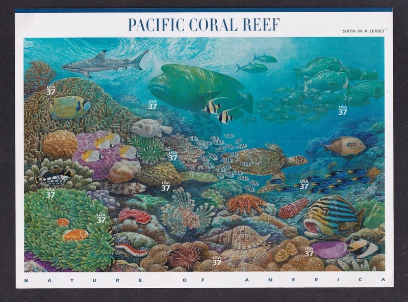 PACIFIC CORAL REEFS COLLECTION #3831