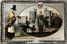 Conwy Castle Snap Shots of Welsh Scenery Wales UK Embossed Gel Postcard B814