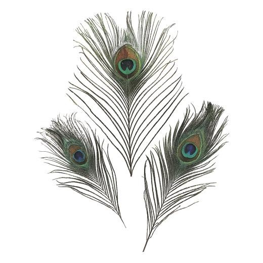 Knorr Prandell 20cm Peacock Feathers - 3pcs #26025