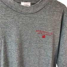 Springville Apple Run T shirt Leslie Jordan Gray Tee Mens XL Cool Cat USA