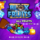 Blox Fruits PHYSICAL Fruit | CHEAP & FAST | level 700+ | READ DESCRIPTION
