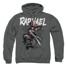 TMNT TEENAGE MUTANT NINJA TURTLES Licensed Adult Hooded Hoodie Sweatshirt SM-3XL