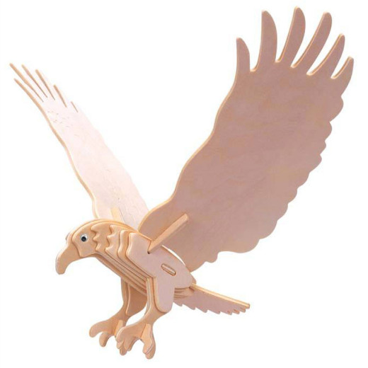 Quay Woodcraft Construction Kit Hawk