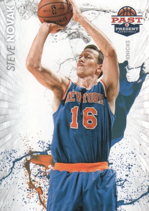 Steve Novak trading card