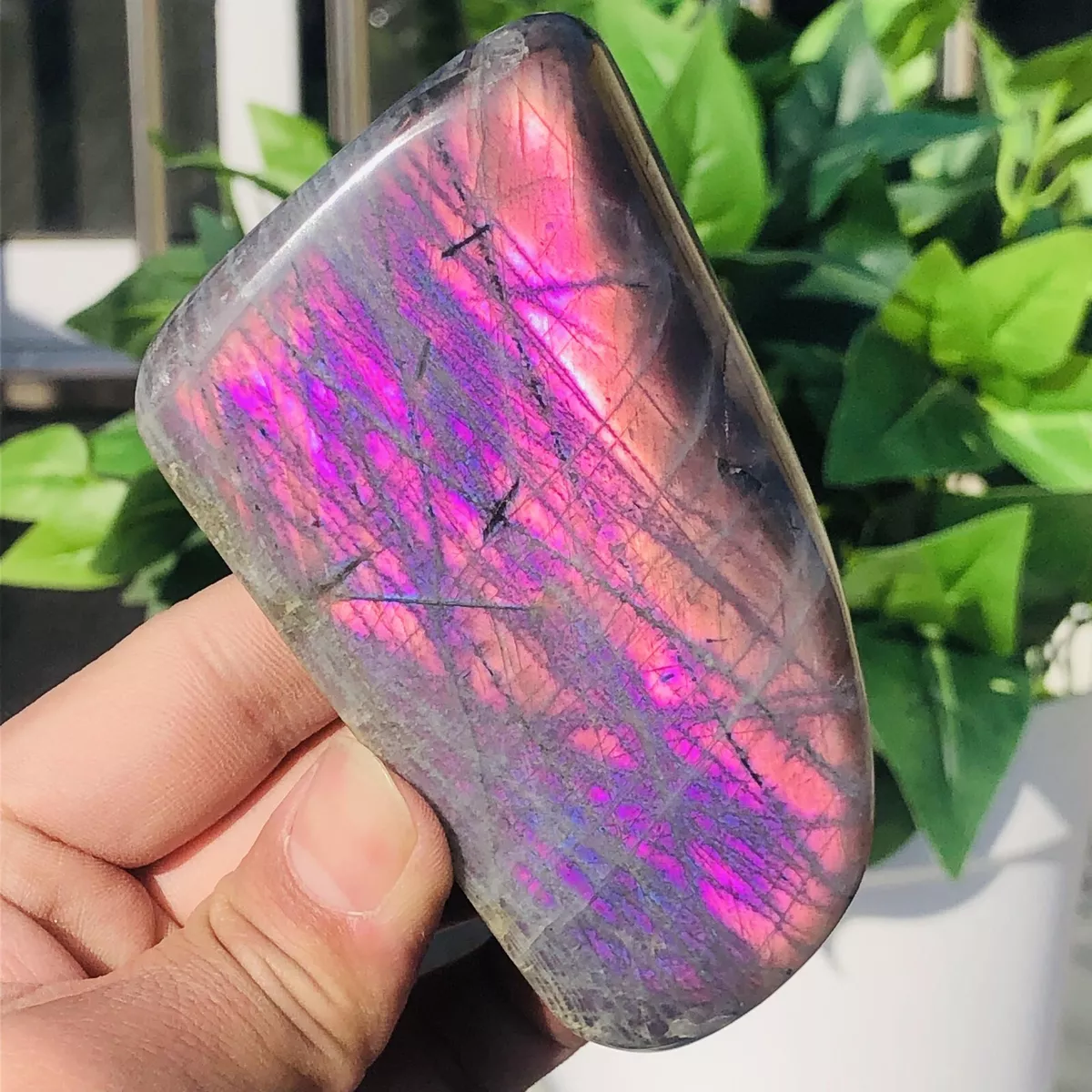 295g Natural Rare Purple Labradorite Quartz Crystal Mineral
