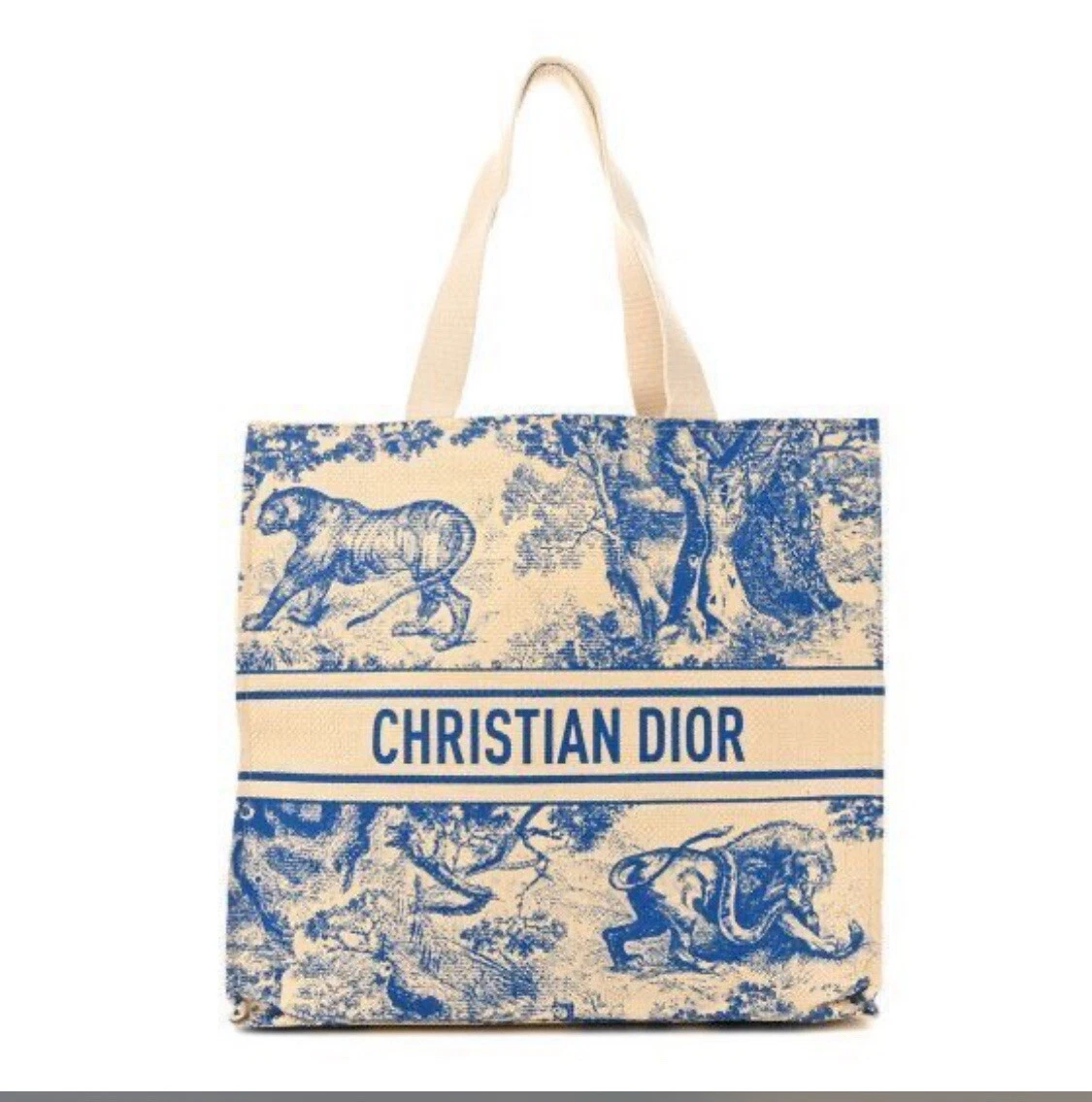 Sac fourre tout en paille Diorrivera neuf en plastique