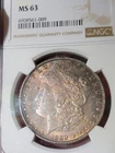 1889 $1 Morgan Dollar NGC MS63 Toned