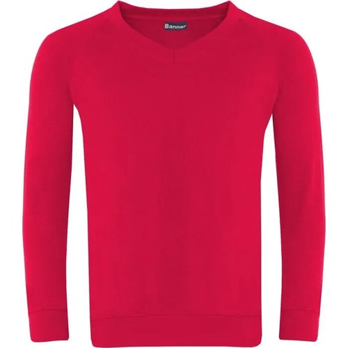 Classic V-Neck Sweatshirt Banner Premier LC V-Neck Jumper Unisex - Picture 5 of 17