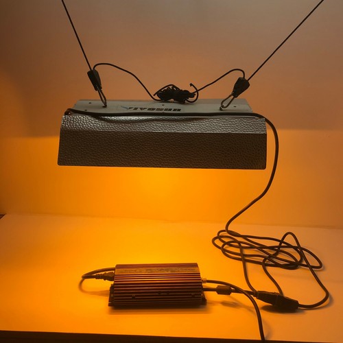 Vivosun Indoor Grow Light Canopy Dimmable 400 watt Electronic Light Ballast Test - Picture 5 of 11