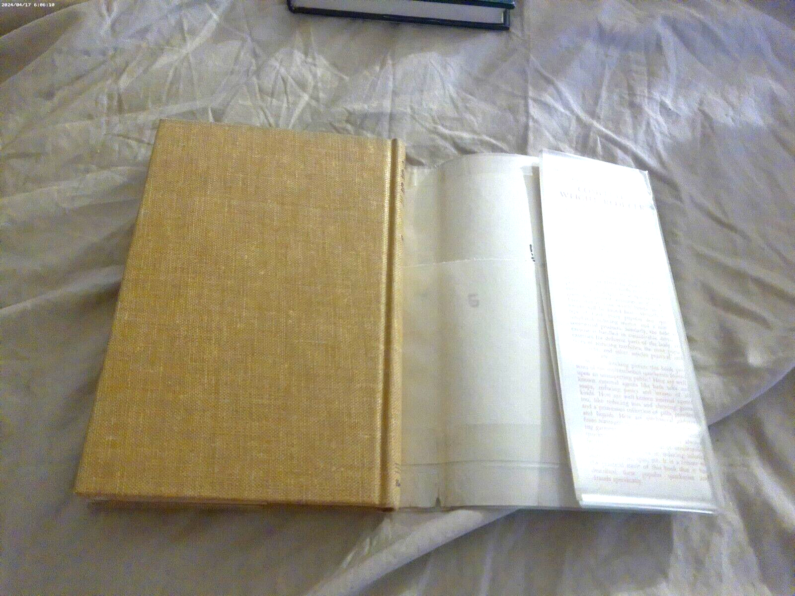 Picture 6 of 7