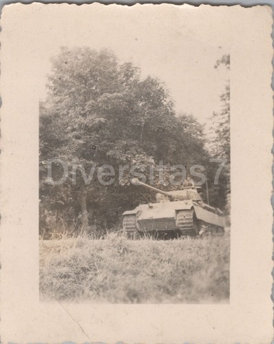 Foto, Wk2, Panzerkampfwagen V Panther in Rautarn, Panzer, 01, D/62
