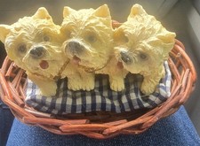 Living Stone White Westie Terrier Puppies in a Basket Figurine EUC