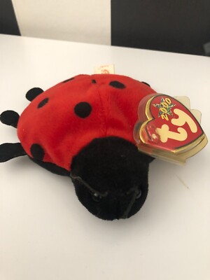 HH- Ty Beanie Baby: Lucky der Marienkäfer