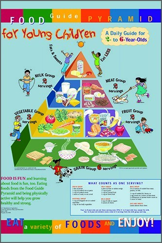 Leitfaden für gesunde Ernährung Ernährung Diät-Poster 12x18 detailliert informativ - Bild 1 von 1