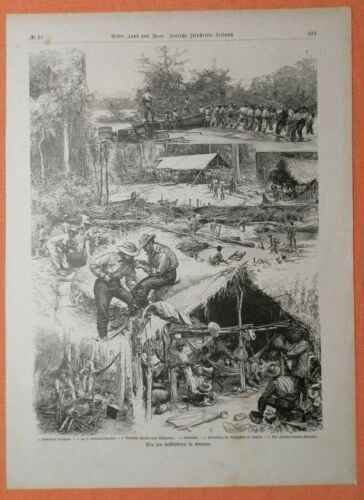 Kunstdrucke aus Guyana