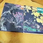 Picture 4 of 6
