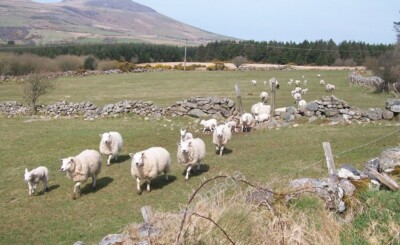 Foto 6x4 The also Rans Bwlch-Derwin [[1809436]] um 2010