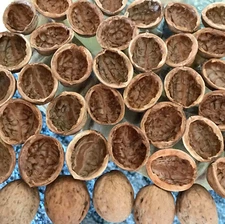 Walnut Shell Halves for Natural Ornaments, Crafting Parts, DIY Walnut Art Supply