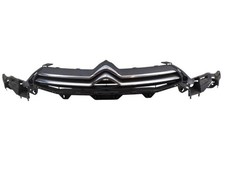 Calandre Citroen C4