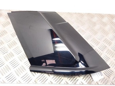 Range Rover Evoque Verkleidung D Säule außen LR048706 EJ3229149AB L538 2014-2019