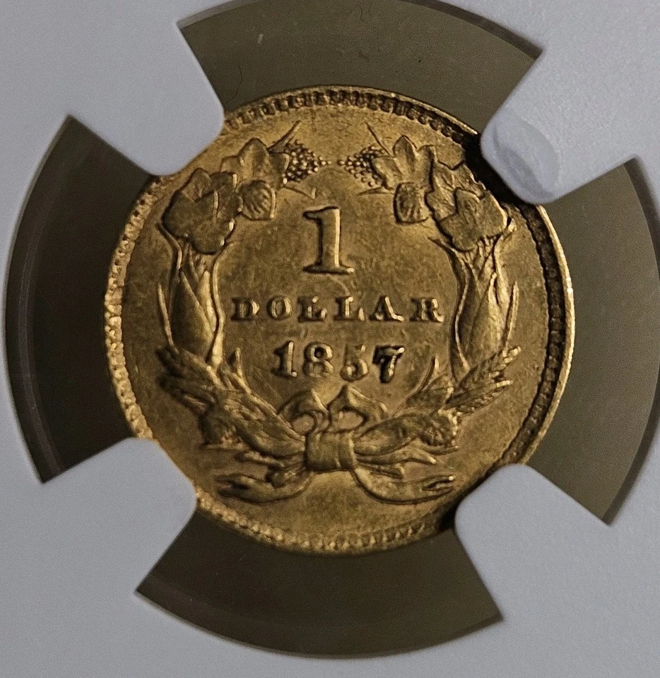 Oro Princesa India Libertad 1857 $1 dólar tipo tres III 3 NGC AU detalles Foto 3 de 4