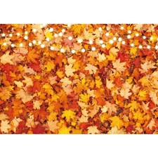 7x5 Ft Fall Autumn Photo Backdrop Maple Leaf Pumpkin Thanksgiving Day Harvest