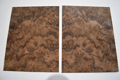 Nussbaum Maser / Maser - 2 aufeinanderfolgende Echtholzplatten - 165 mm x 130 mm
