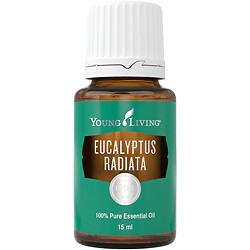 Young Living Eucalyptus Radiata 15 ml