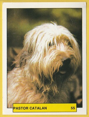 Hunde - Spanischer Sammelkartenaufkleber um 1981 Merchante #56 Katalanischer Schäferhund