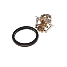 Thermostat Triumph ACCLAIM