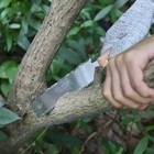 Foto 9 di 12