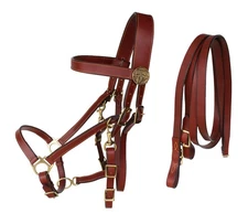 Horse Australian Brown Premium Leather Light Halter Bridle w/ Reins 110B230BR-F
