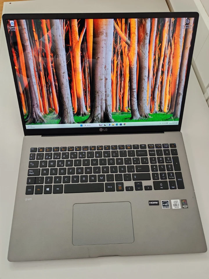 Ordenador LG Gram 17Z90N - Immagine 3 di 4