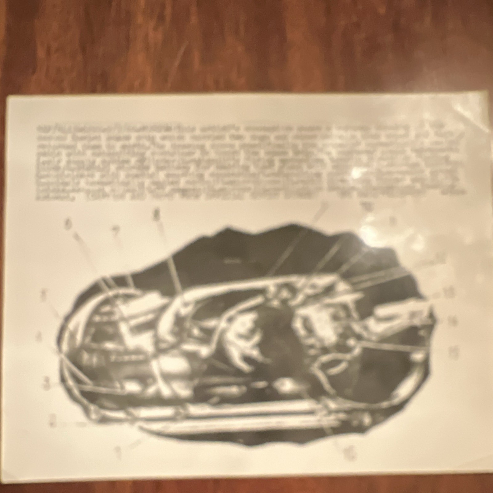 Cutaway Drawing Of Soviet Spaceship | eBay