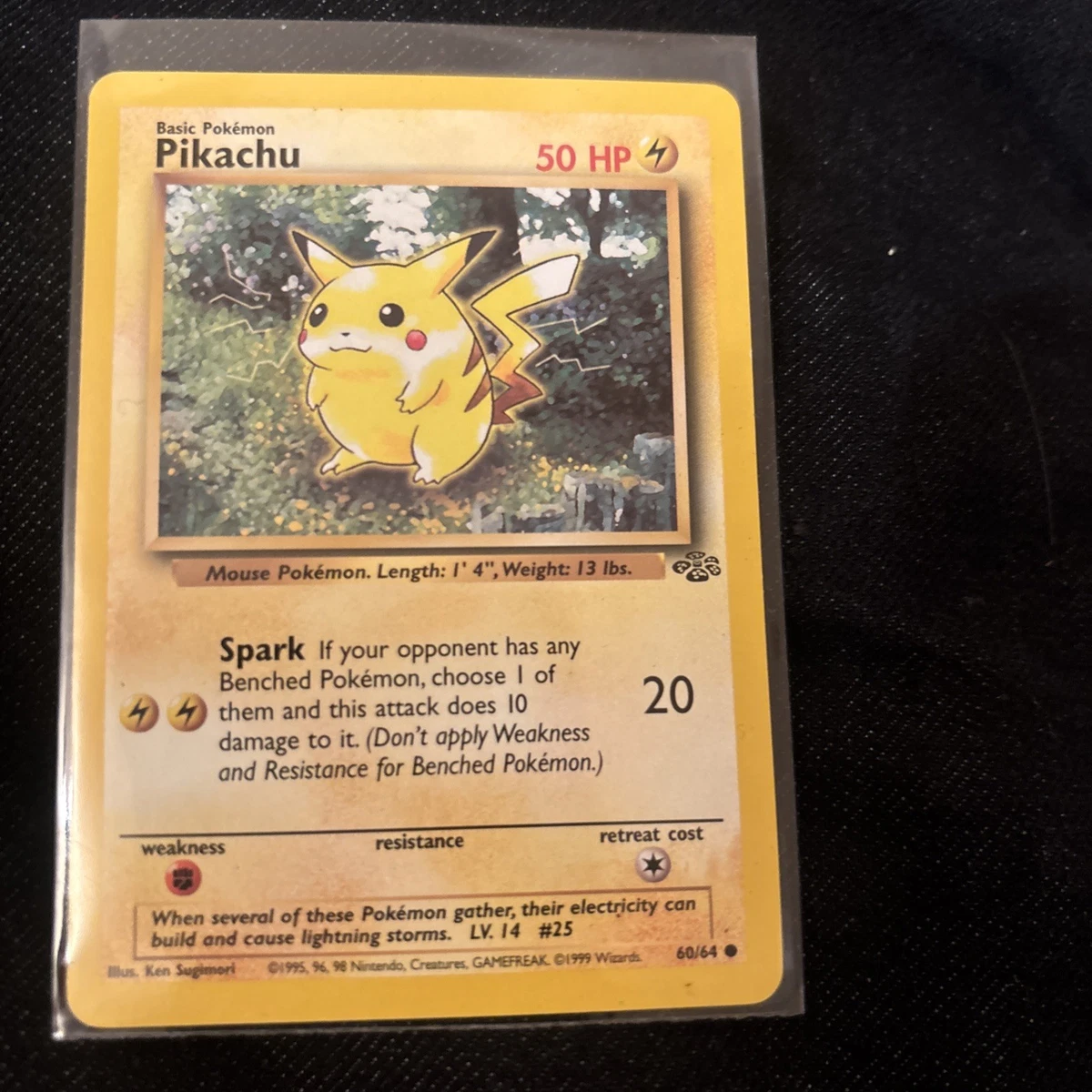2 part pokemon cards Pokmon Generation 2 Johto Complete Set (100 Cards)  2000|  TradingCardSets.Com