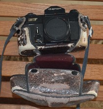 Canon  EF  Analog Spiegelreflexkameras nur Gehäuse