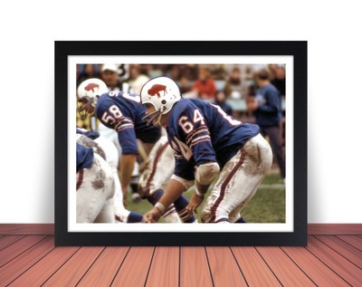 Framed HARRY JACOBS Photo Picture BUFFALO BILLS Football in 8x0 or 11x14 (WB1)