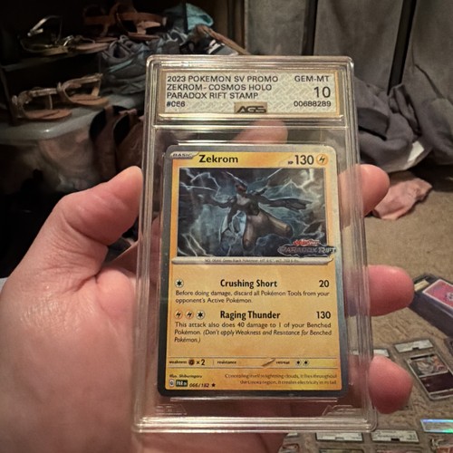 Zekrom — Paradox Rift