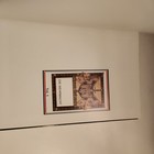 Picture 8 of 19