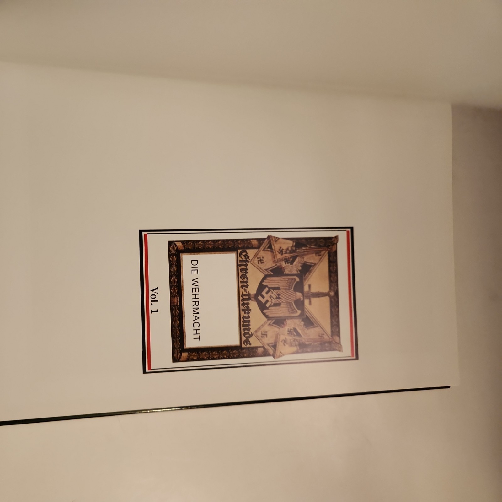 Picture 8 of 19