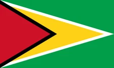 Guyana Country Flag Vinyl Decal Sticker Car Truck Bumper Laptop Tumbler Mug