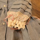 Bild 8 von 8