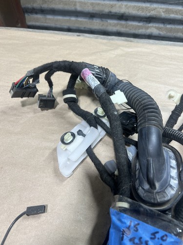 2015 - 2019 FORD MUSTANG RIGHT PASSENGER SIDE DOOR WIRE WIRING HARNESS OEM 997 - Picture 3 of 6