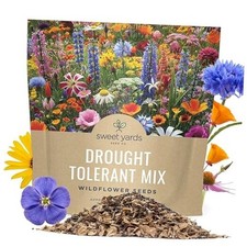Drought Tolerant Wildflowers Mix – Extra Large Packet – Over 1 Ounce Pouch 331.52 per gallon