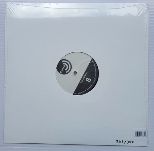 LUKE HEMMINGS - Boy Limited Edition Signed & Numbered Test Pressing Vinyl /750 - Picture 3 of 3