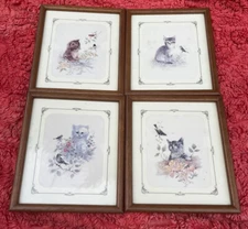 Kitten Prints by Robert Giordano Framed